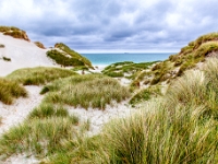 Berneray